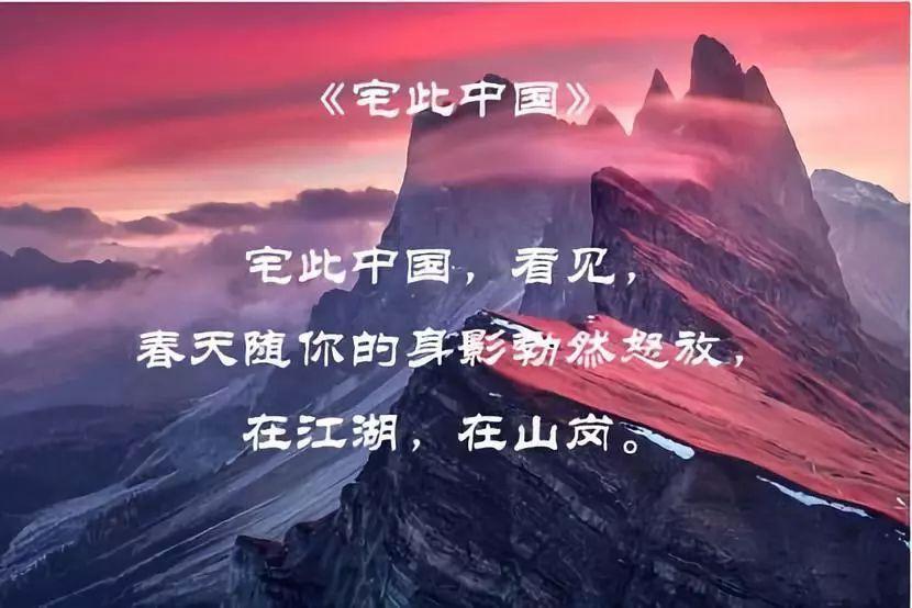 拿破仑：全面战争